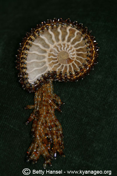 fossil ammonite pin